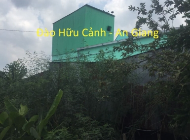 Nhà yến tại  Đào Hữu Cảnh - Châu Phú - An Giang