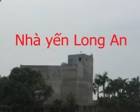 Nhà yến Đức Hòa - Long An