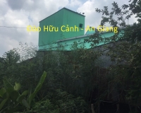 Nhà yến tại  Đào Hữu Cảnh - Châu Phú - An Giang